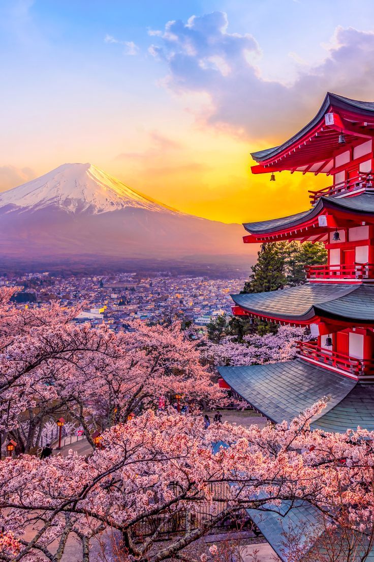 Japonya